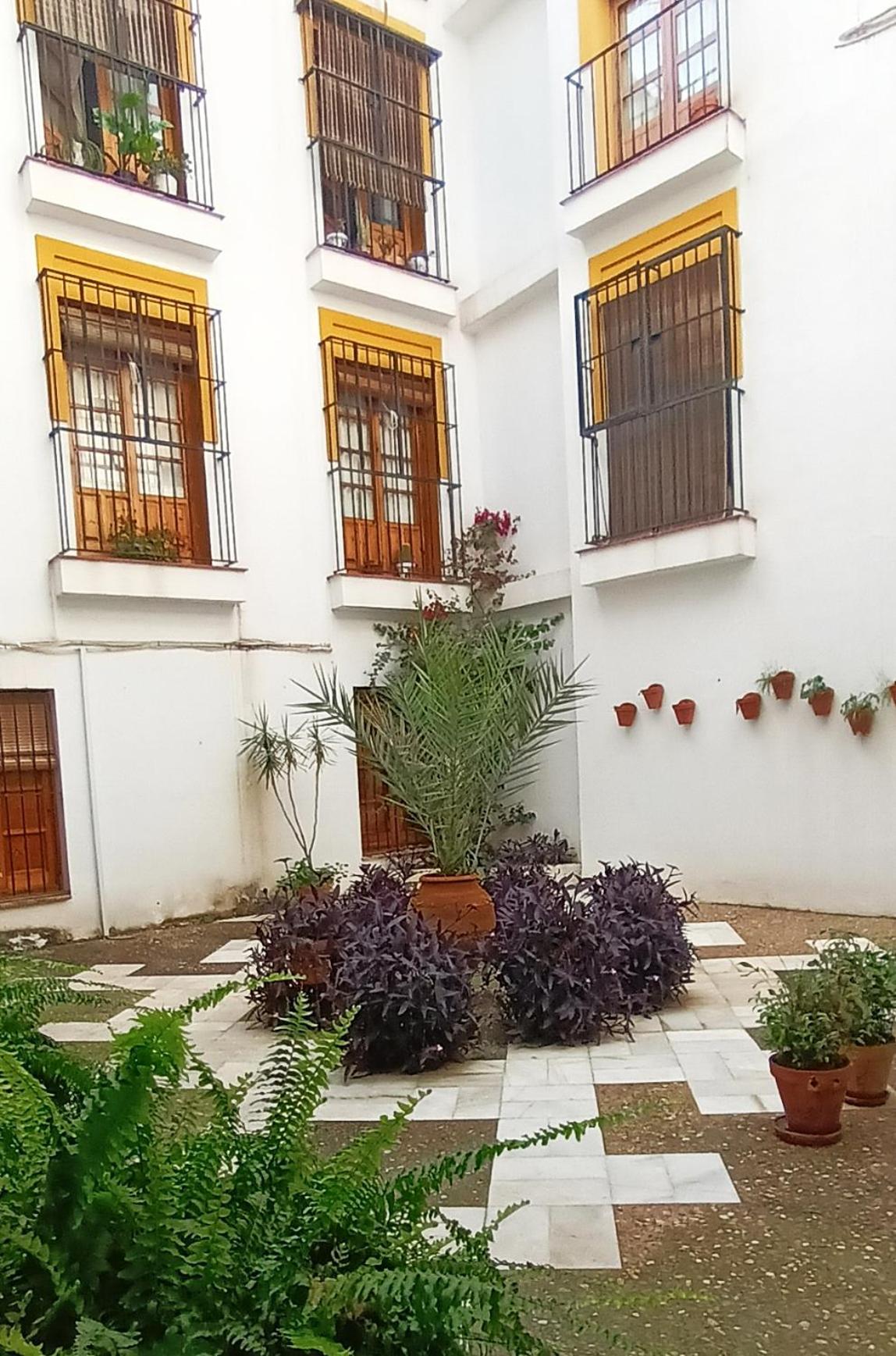 Historia Y Tradicion - Sevilla Desde Dentro. Eksteriør bilde